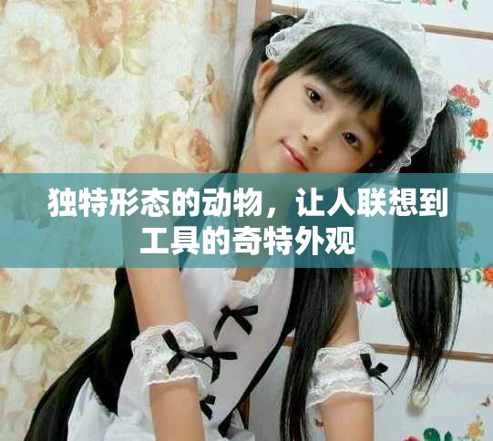 独特形态的动物，让人联想到工具的奇特外观