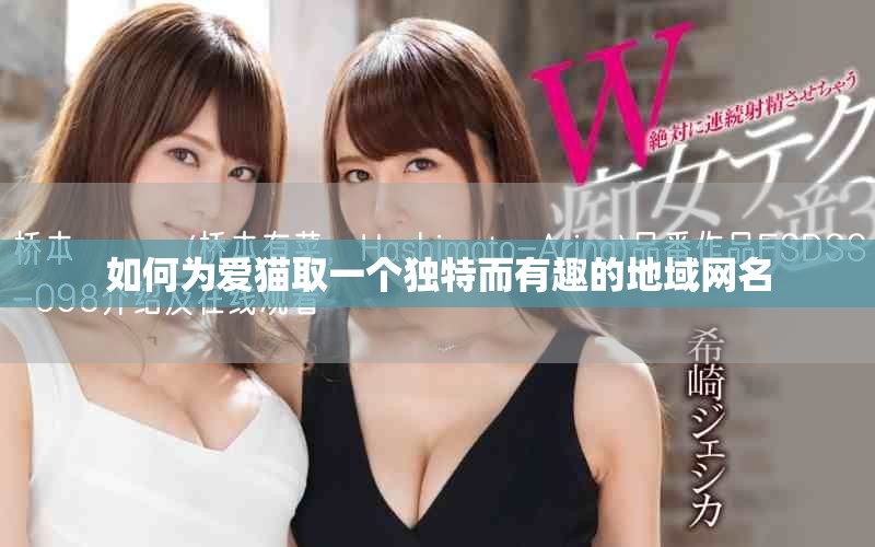 如何为爱猫取一个独特而有趣的地域网名