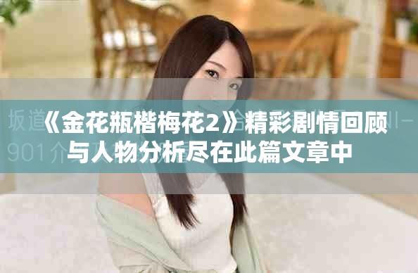 《金花瓶楷梅花2》精彩剧情回顾与人物分析尽在此篇文章中