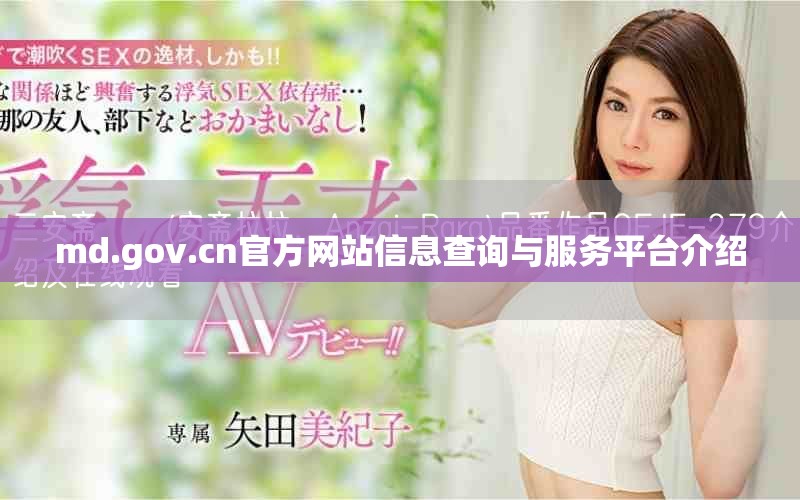 md.gov.cn官方网站信息查询与服务平台介绍