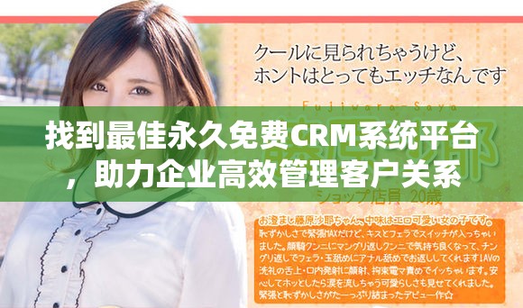 找到最佳永久免费CRM系统平台，助力企业高效管理客户关系