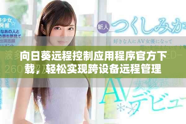 向日葵远程控制应用程序官方下载，轻松实现跨设备远程管理
