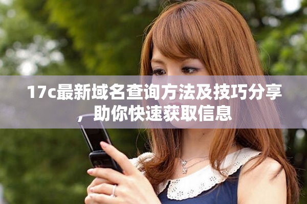 17c最新域名查询方法及技巧分享，助你快速获取信息