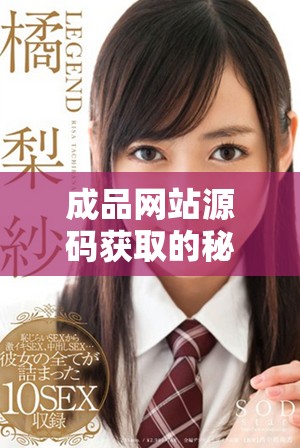 成品网站源码获取的秘密入口与隐藏技巧解析