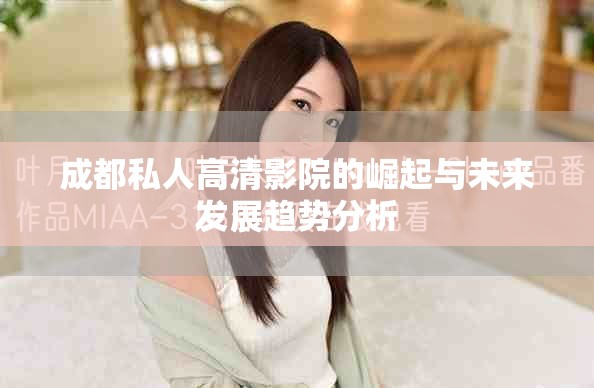 成都私人高清影院的崛起与未来发展趋势分析