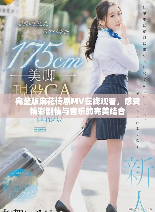 完整版麻花传剧MV在线观看，感受精彩剧情与音乐的完美结合