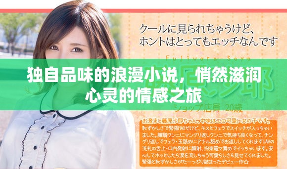 独自品味的浪漫小说，悄然滋润心灵的情感之旅
