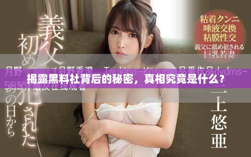 揭露黑料社背后的秘密，真相究竟是什么？